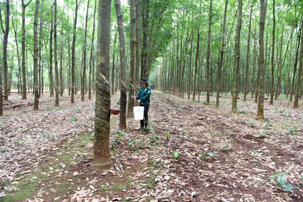 Các đơn vị tại Lào phải chủ động khắc phục khó khăn, thực hiện tốt nhiệm vụ năm 2022